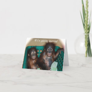 Anúncio Vamos nos casar com Doce e Whimsical