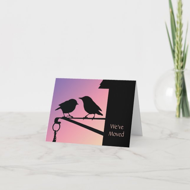 Anúncio Variação de Endereço de Pássaros Sunset (Frente)