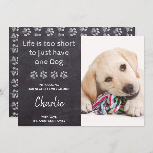 Anúncio Vida Muito Curta Para Apenas Um Cachorro Novo Pet  (Frente/Verso)