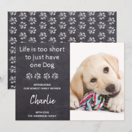 Anúncio Vida Muito Curta Para Apenas Um Cachorro Novo Pet 