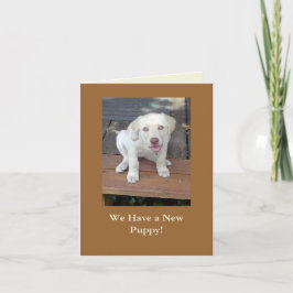 Anúncio We Have a New Puppy Dog Announcement Customizable