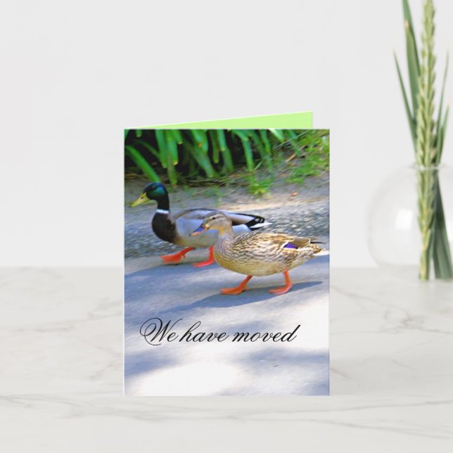 Anúncio We Moved!_ (Frente)