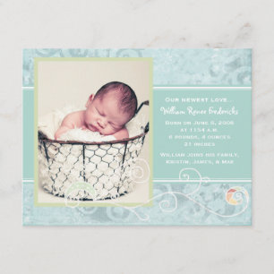 Anúncio William Renee Birth Announcements