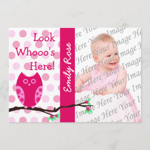 Anúncios cor-de-rosa da adopção da coruja