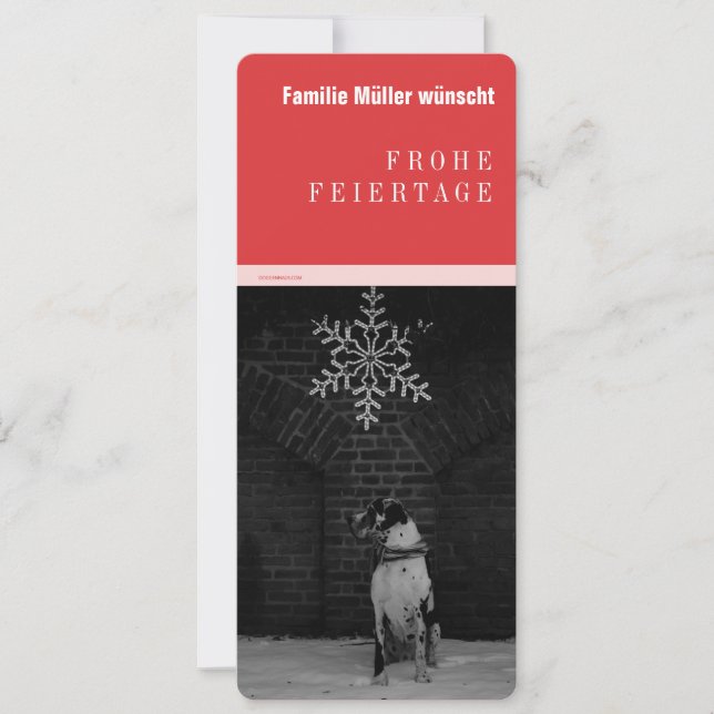 Anúncios de Dogue Alemão (Frente)