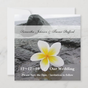 anúncios de Frangipani Casamento Salve a Data