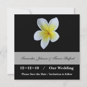 anúncios de Frangipani Casamento Salve a Data