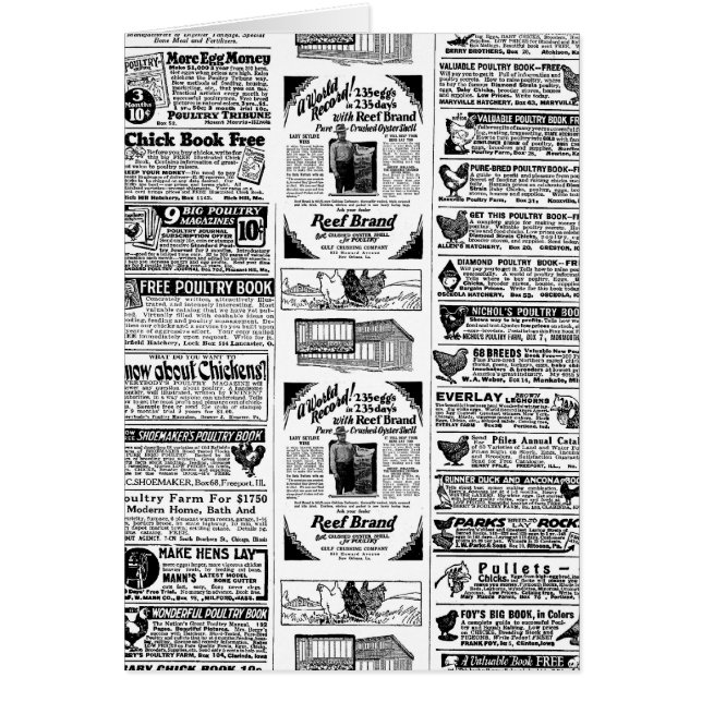 Anúncios de frango de 1928 (Frente)