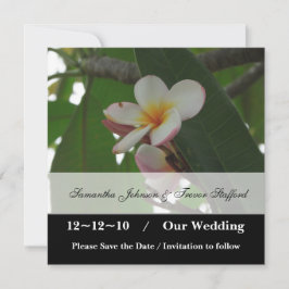 anúncios de Save the Date de casamento de Frangipa