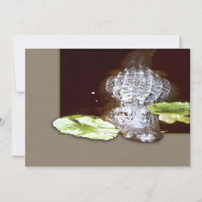 Anúncios de vazio (Frente)