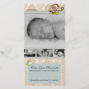 Anúncios novos do nascimento do bebê do macaco de