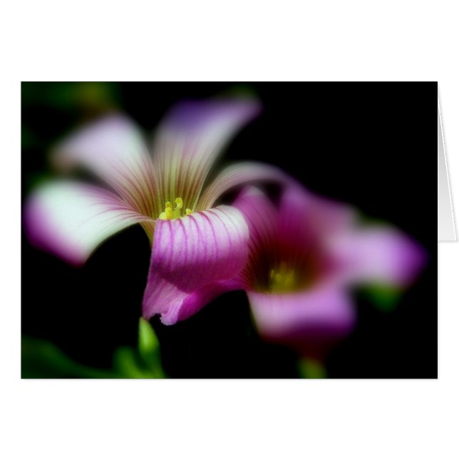 Ao Lado De Você Sempre/ Cartão De Casamento De Amo (Frente Horizontal)