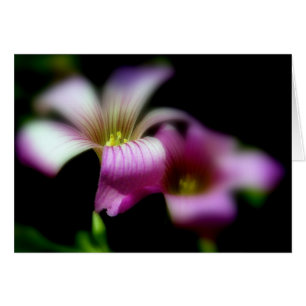 Ao lado de você sempre cartão de casamento do amor