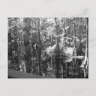 Ao longo do cartão postal bancário