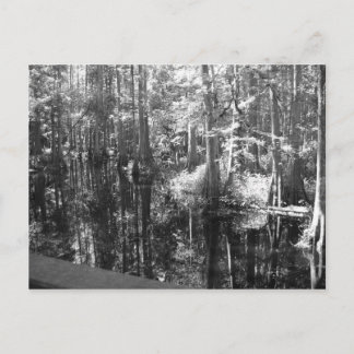 Ao longo do cartão postal bancário