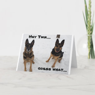 AO MEU "GÊMEO MAIS VELHO" NO SEU CARTÃO DE ANIVERS