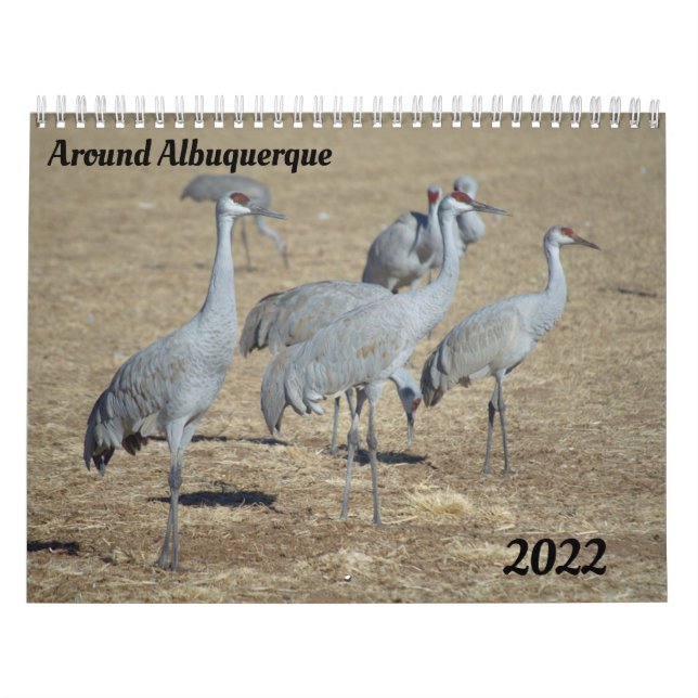 Ao redor do Calendário Albuquerque (Capa)