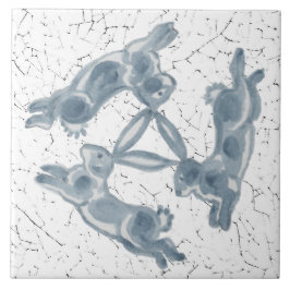 Aparência Azul e Branca com Três Coelhos de Leitur