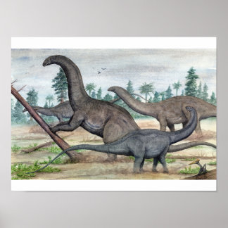 Apatossauro e Brontosaurus Impressão