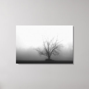 Apenas - árvore em canvas da névoa da manhã