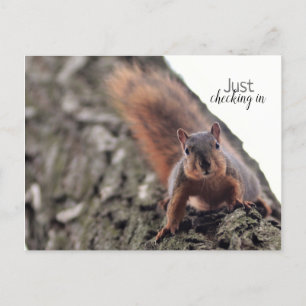 Apenas Fazendo Check-In Do Cartão