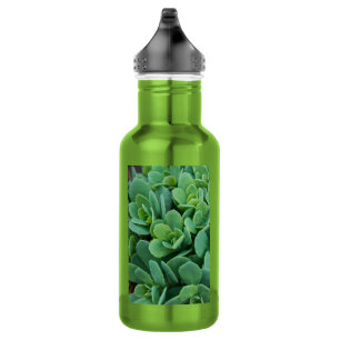 Apenas Garrafa de Água de Aço Inoxidável Sedum