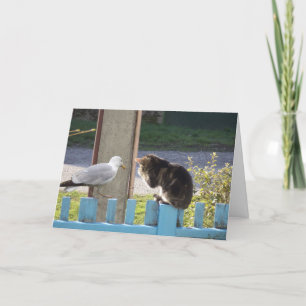 Apenas gatos e gatinhos - cartão em branco