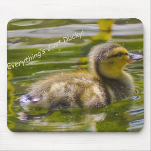 Apenas o Mousepad Ducky
