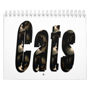 Apenas Pelo Amor Dos Gatos, Calendário