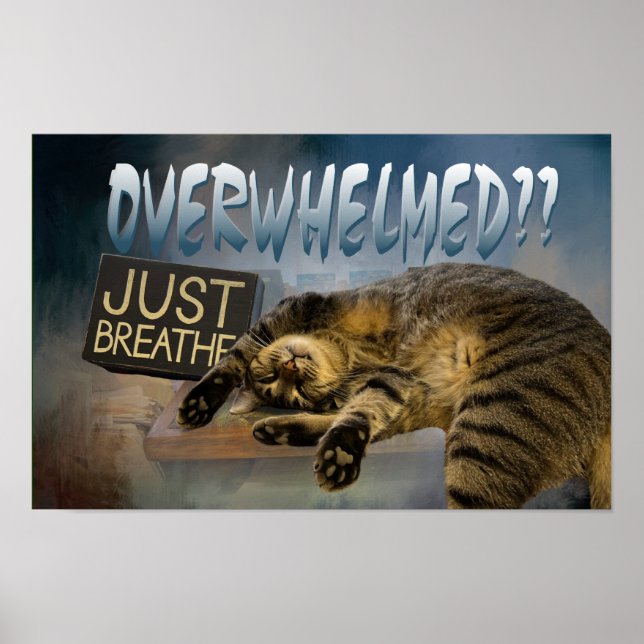 apenas respire o poster 23 (Frente)