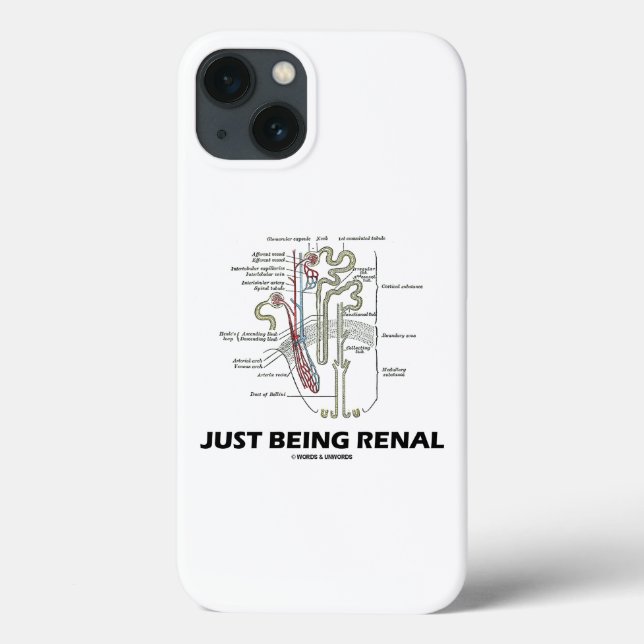 Apenas Sendo Humor De Anatomia Renal De Nethron (Verso)