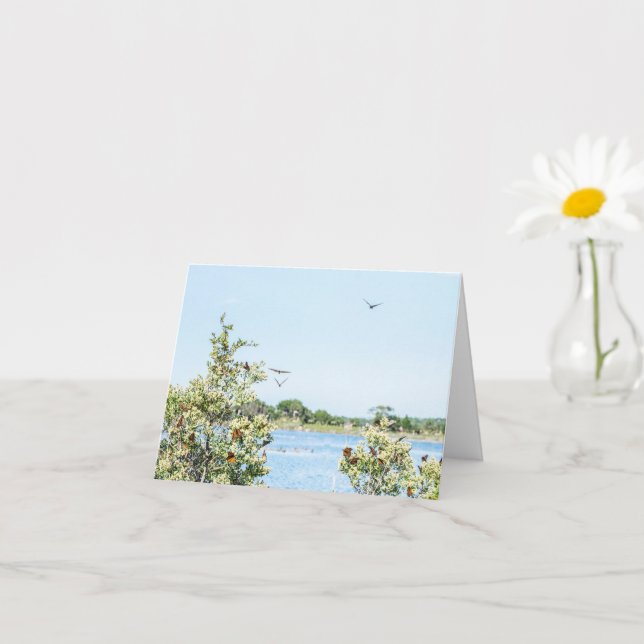 Apenas um cartão (Planta pequena)