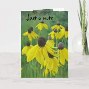 Apenas um cartão de nota/Coneflowers amarelo