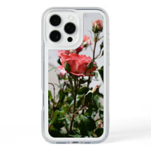 Apenas Um Rosa