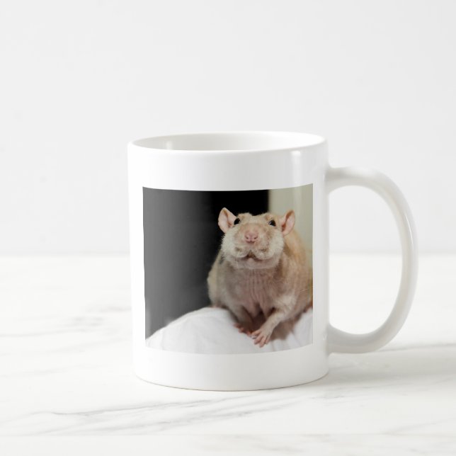 APÓS A CANECA DE CAFÉ (Direita)