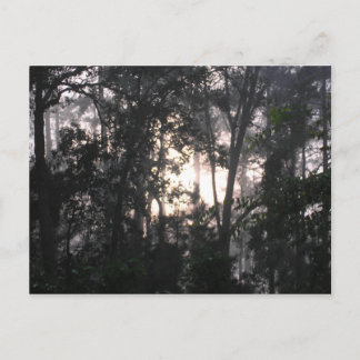 Após a tempestade - Cartão postal nº 2