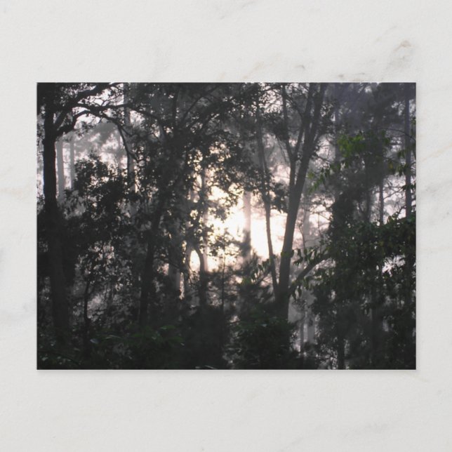 Após a tempestade - Cartão postal nº 2 (Frente)