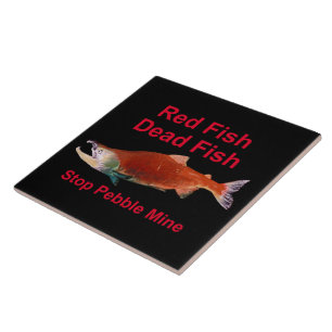 Após o Salmão - Parar o Pebble Mine