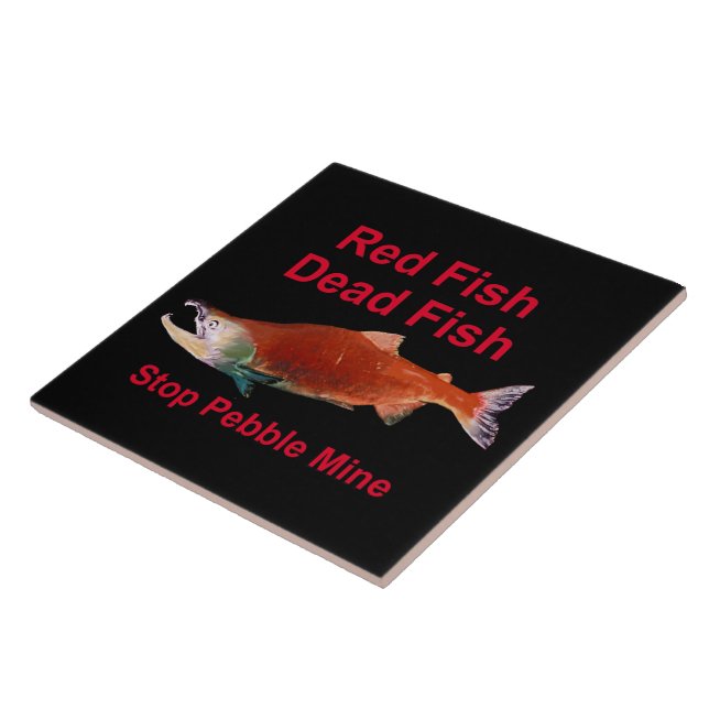 Após o Salmão - Parar o Pebble Mine (Lateral)