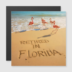 Aposentado na Flórida Flamingos na Praia Tropical