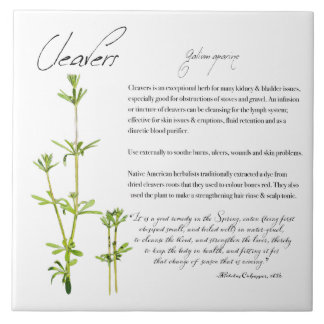 Apotecário Herbal: Cleavers | Azulejo cerâmico