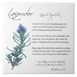 Apotecário Herbal: Lavanda Azulejo cerâmico