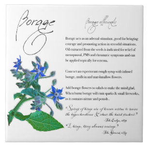 Apothecary Herbal: Boragem Azulejo cerâmico