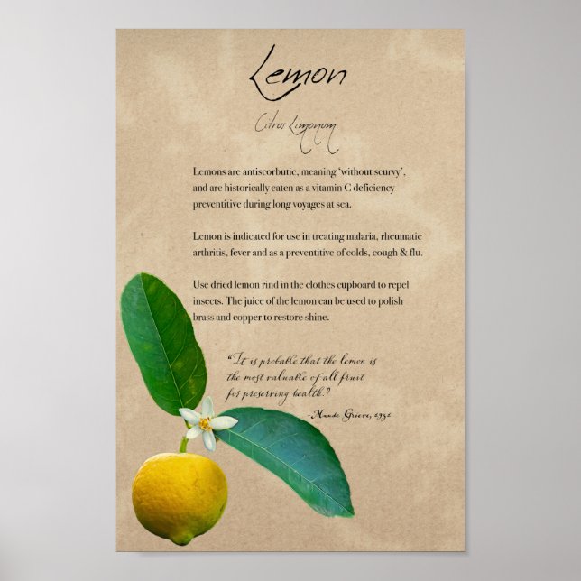 Apothecary Herbal: Lemon | Poster botânico (Frente)