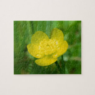 Appalachian ButterCup Quebra-cabeça
