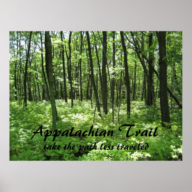 Appalachian Trail Poster (Frente)