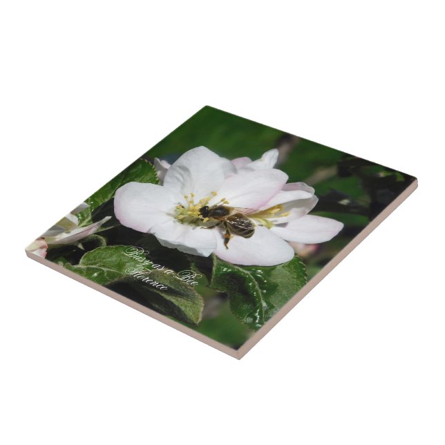 Apple Blossom & Bee Macro Photo | Ceramic Tile (Lateral)