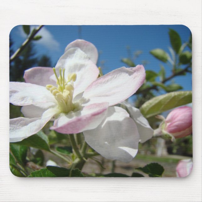 Apple FLORES MOUSEPADS Flores Cor-de-Rosa Mousepad (Frente)