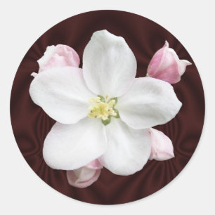 Apple floresce etiqueta do ~