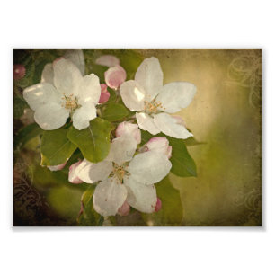 Apple floresce impressão da foto do conjunto